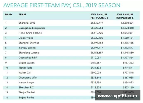 2010年球员年薪统计与职业体育竞技的经济影响